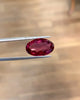 Oval 8.63 Carats Rubellite